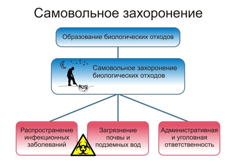 Действия при заболевании и/или падеже животных, и правилах безопасного обращения с биологическими отходами.